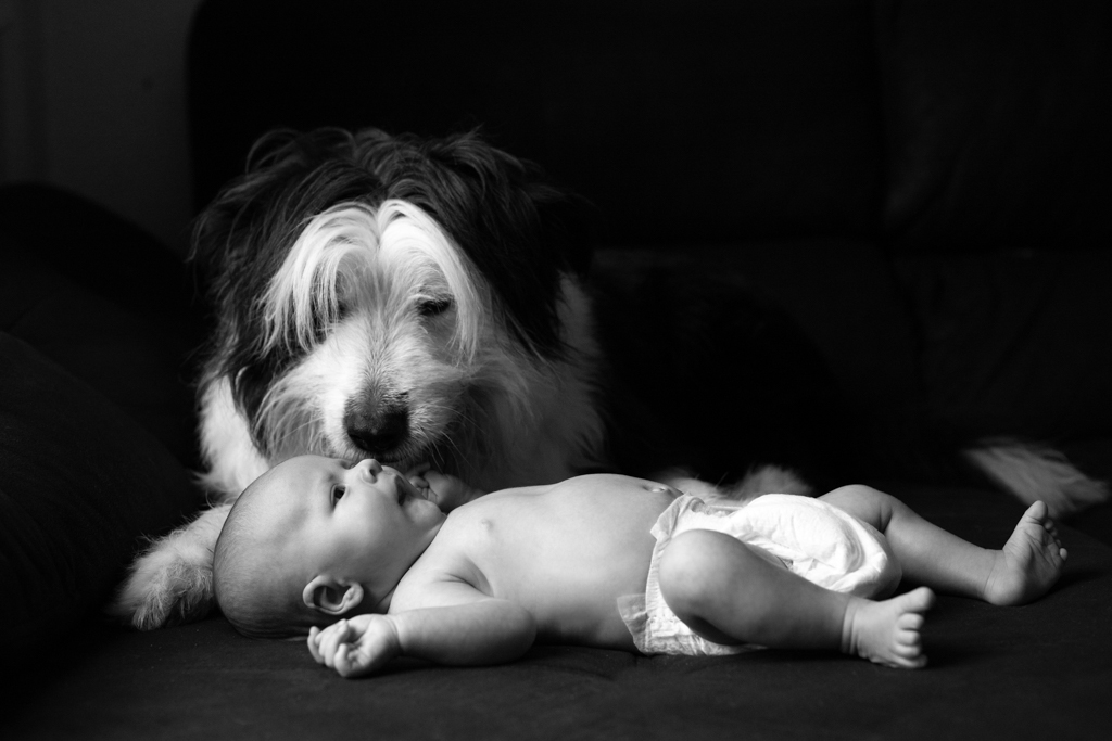 Creativa foto en blanco y negro donde se ve a un bebé y su perro durante una sesión newborn en Barcelona.